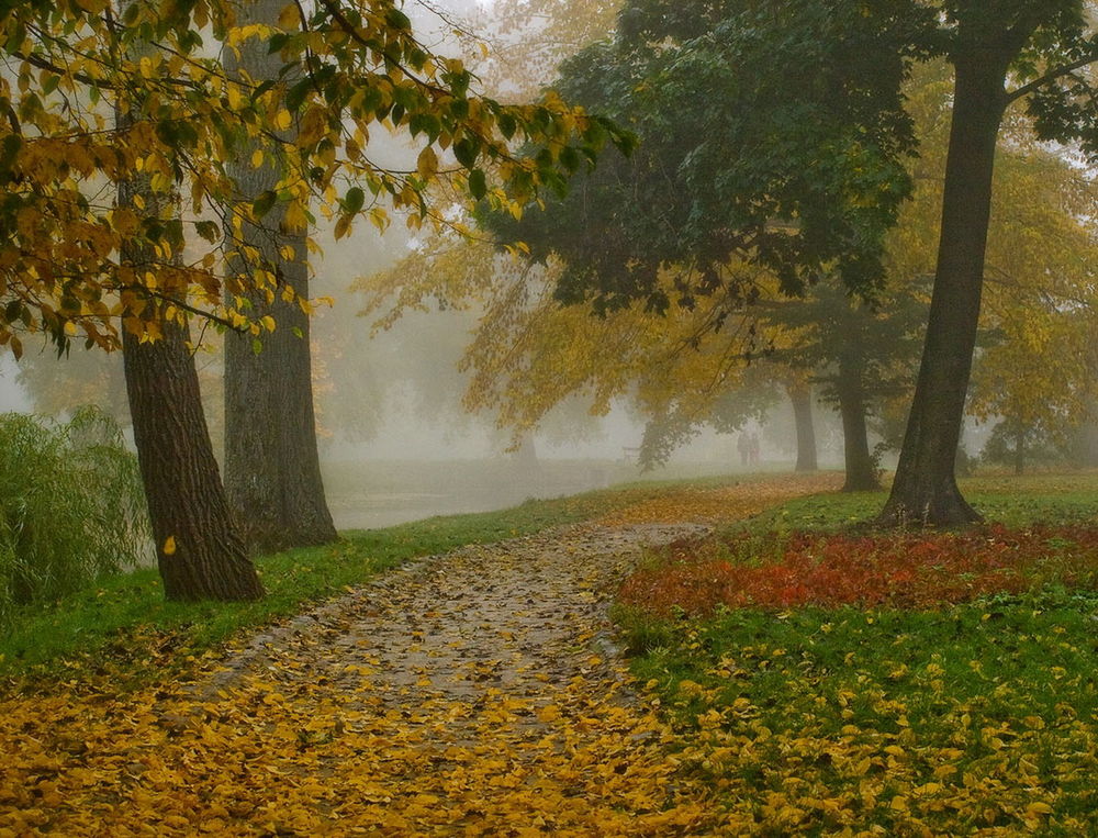 Обои для рабочего стола Супружеская пара, гуляющая по парку с аллеями, усыпанными осенними листьями, туманной дымки, автор Марина Брыдня