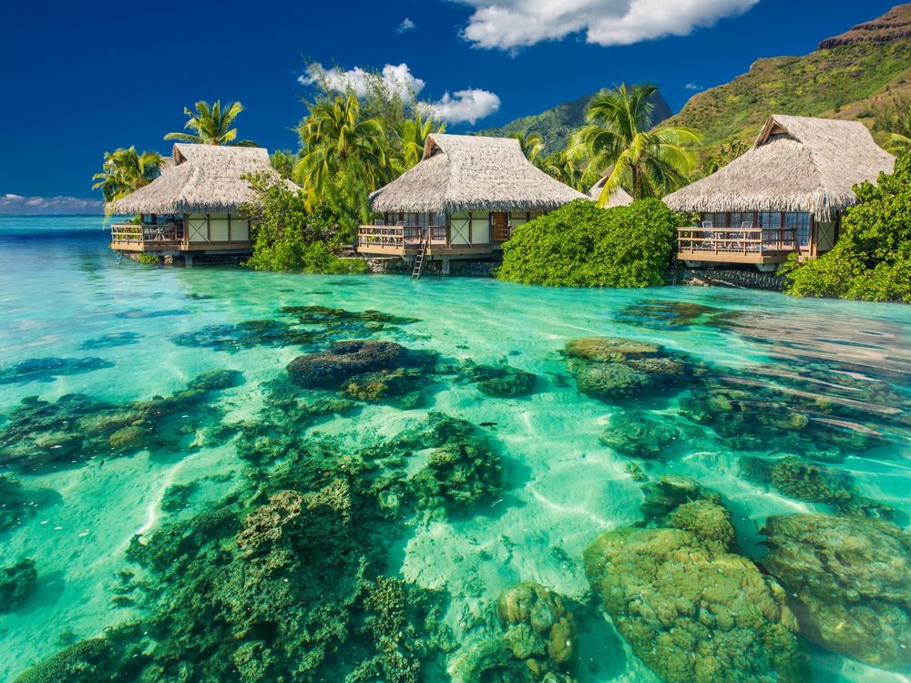 Обои для рабочего стола Домики среди пальм рядом с прозрачной чистой водой океана на пляже тропического курорта