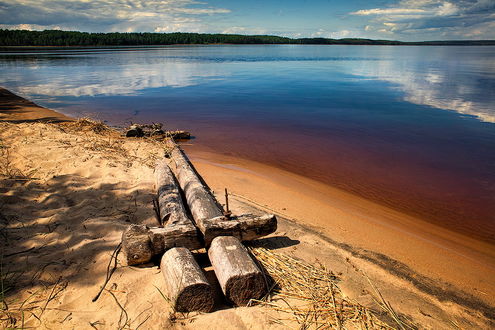 Бревно на берегу. Бревно в море. Бревно в реке. Бревно на берегу реки.