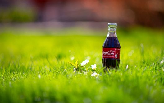 Обои на рабочий стол Кока-Кола / Coca-Cola на зеленой траве