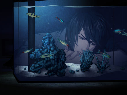 Обои на рабочий стол Задумчивый Youji Sakiyama перед аквариумом, из игры Sweet Pool
