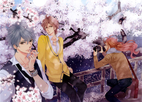 Обои на рабочий стол Futo Asahina / Футо Асахина, Iori Asahina / Иори Асахина и Hikaru Аsahina / Хикару Асахина из аниме Вrothers Сonflict / Конфликт братьев