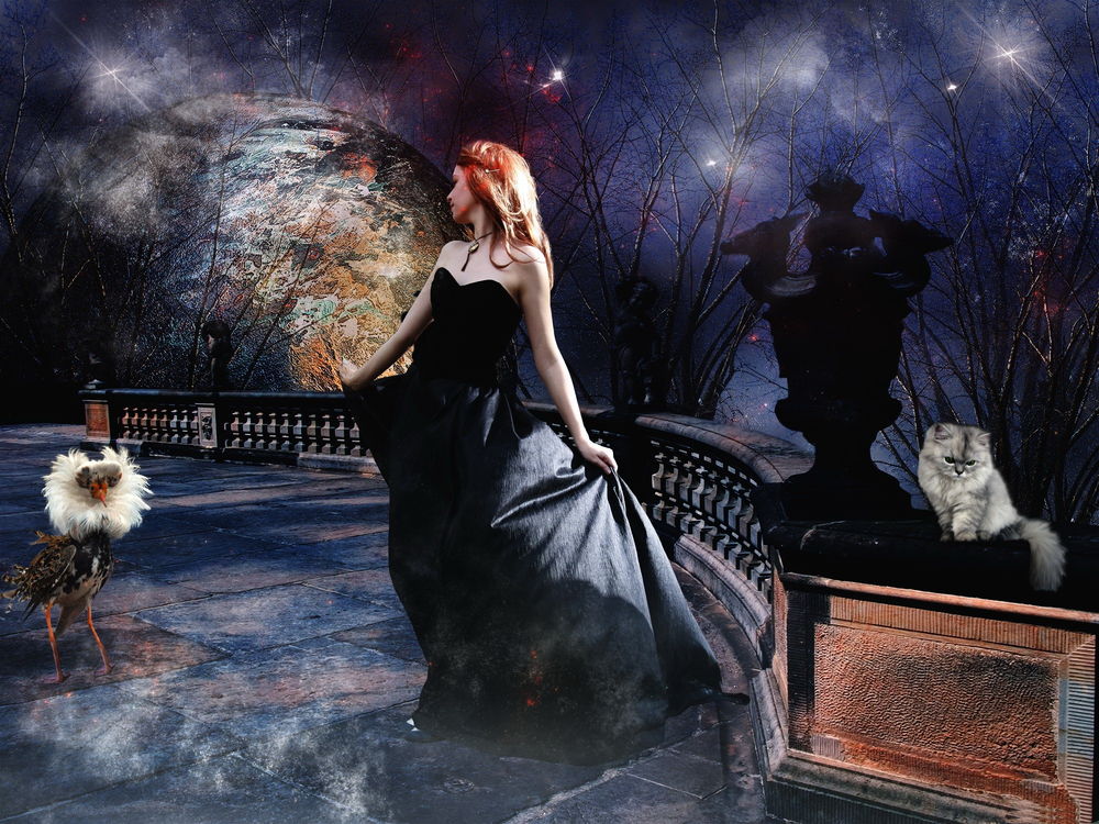 Обои для рабочего стола Девушка в длинном, черном платье, стоящая на каменной площадке, огороженной барьером со стоящим рядом нахохлившимся индюком, белым котом, сидящим возле каменной статуи на фоне ночного, звездного неба и взошедшей планеты