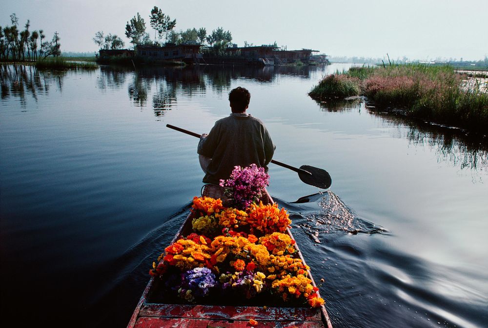 Фото в лодке с цветами