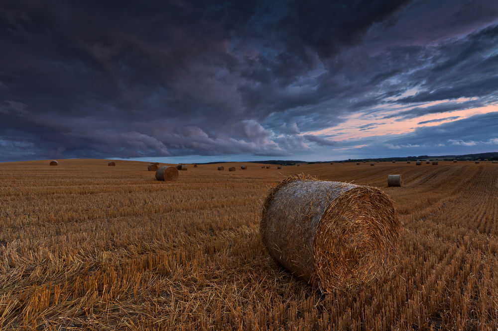 Фото на фоне стога сена