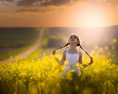 Обои на рабочий стол Девочка в лучах солнца стоит среди цветов, фотограф Jake Olson