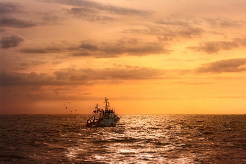 Обои на рабочий стол Рыбацкий баркас, плывущий по морю в окружении стаи птиц и золотистых солнечных лучах, автор baltiec