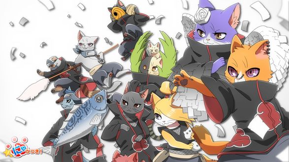 Обои на рабочий стол Коты в образах героев аниме Наруто / Naruto