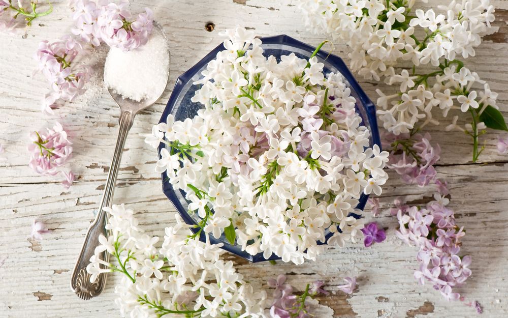 Обои для рабочего стола Цветы сирени на блюдце с сахаром