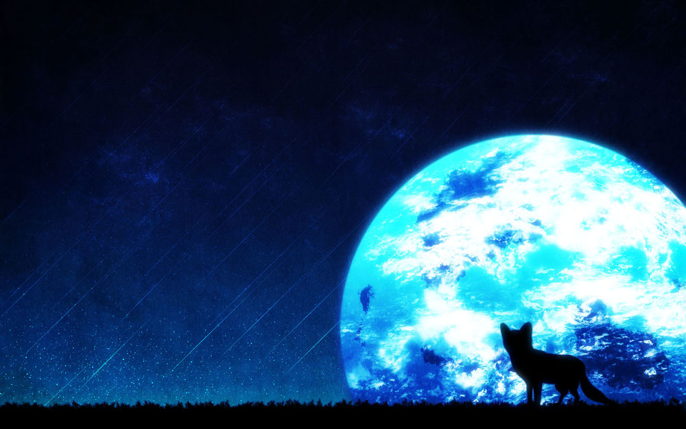 Обои для рабочего стола Силуэт кошки на фоне ночного неба и полной луны