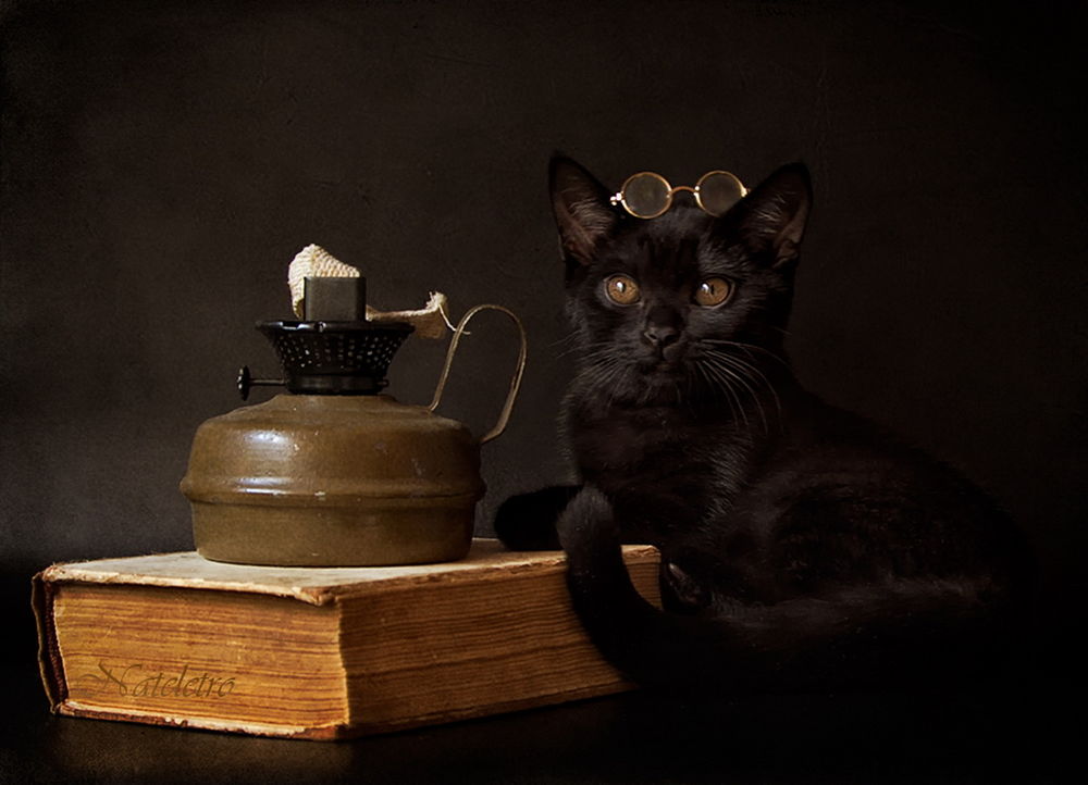 Обои для рабочего стола Гладкошерстный домашний, черный кот с очками на голове, сидящий возле книги со стоящей на ней керосиновой лампой без стекла, автор Наталья Кузнецова