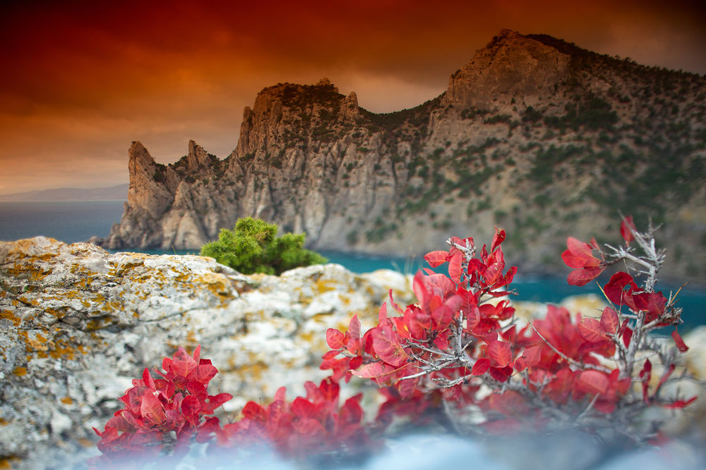 Обои для рабочего стола Ветки кустарника с красными листьями, растущие на каменном плато на фоне красивого, горного образования на морском побережье