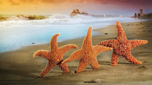 Обои на рабочий стол Три звезды на фоне моря
