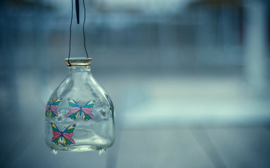 Обои на рабочий стол Банка, на которой нарисованы бабочка