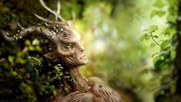 Обои на рабочий стол Персонаж компьютерной игры The elder scrolls. Деревянное существо с рогами
