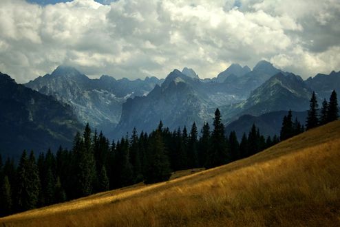 Обои на рабочий стол Красивый пейзаж с облаками над горами, перед которыми растет лес и простирается поле, by kachahaha