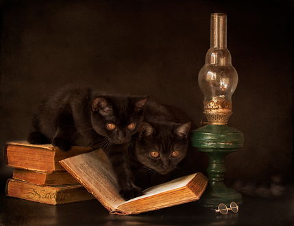Обои на рабочий стол Две черные кошки сидящие на старинных книгах возле потухшей керосиновой ламы, автор Наталья Кузнецова