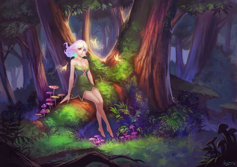 Обои на рабочий стол Девушка-эльф в ночном лесу