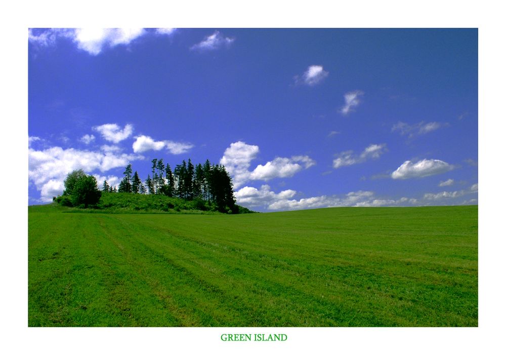 Обои для рабочего стола Островок леса посреди зеленого луга (Green Island)