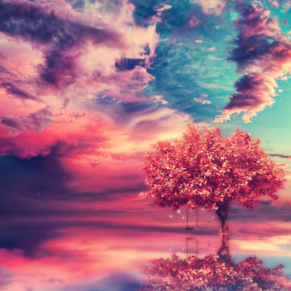Дерево рисунок на фоне неба