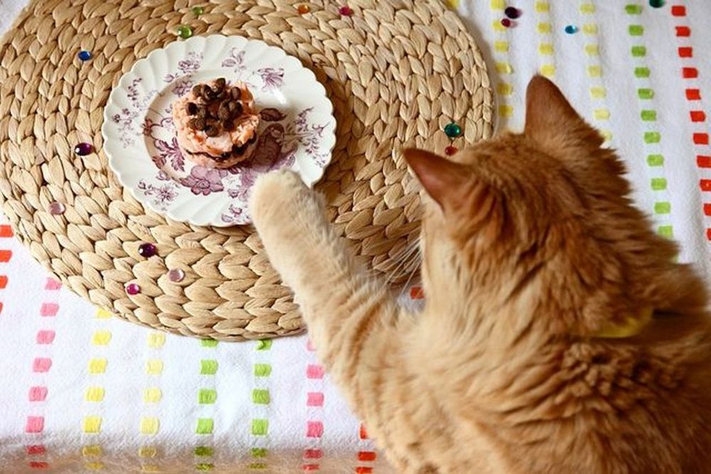 Обои для рабочего стола Рыжий кот пытается дотянуться лапой до пирожного, лежащего на тарелке