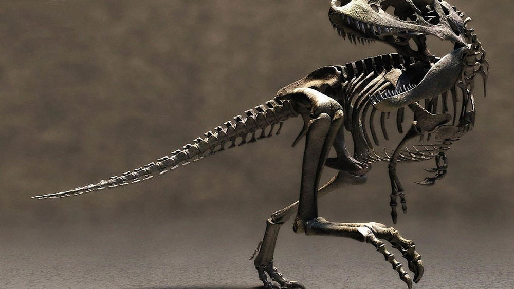 Обои для рабочего стола Стоит скелет громадного тиранозавра