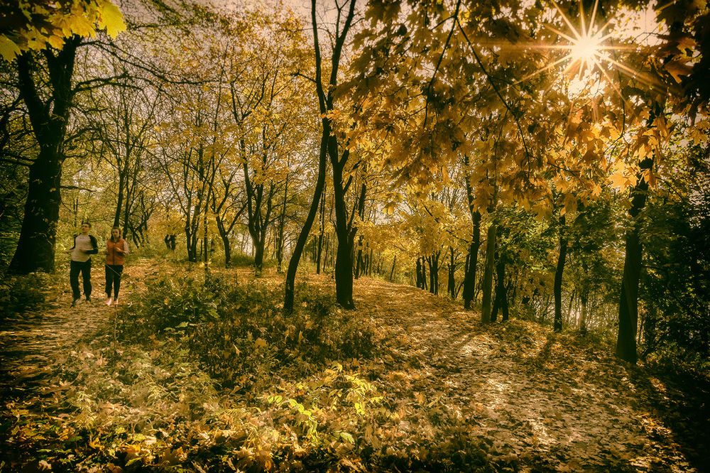 Обои для рабочего стола Парень с девушкой, совершающие утреннюю пробежку в осенней рощи с пробивающимися сквозь листву деревьев утренними, солнечными лучами, автор Scorpio (Игорь Мелекесцев)