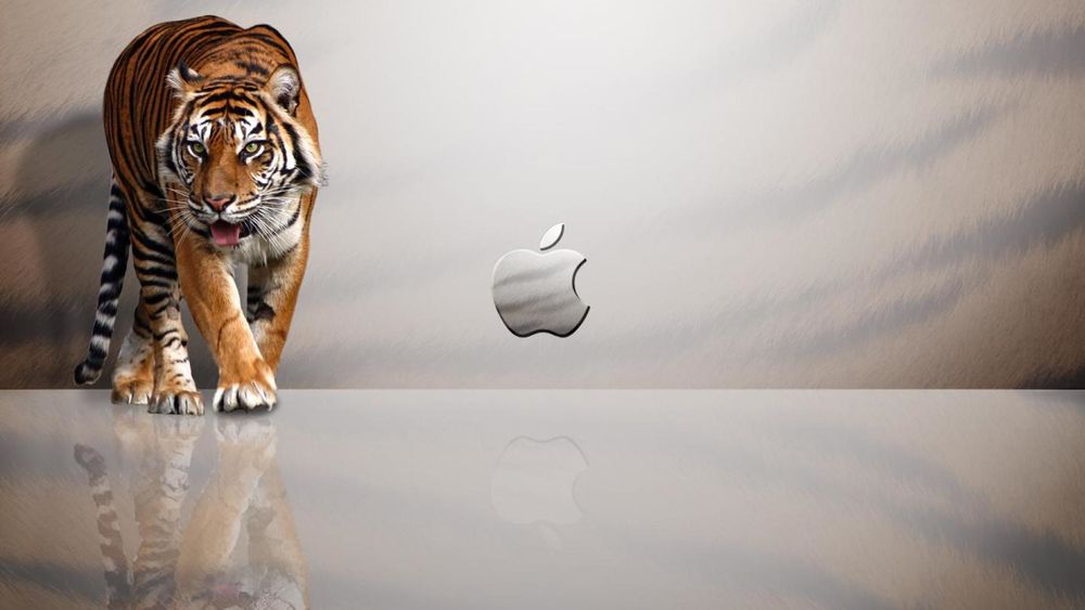 Обои для рабочего стола Тигр в рекламе Apple