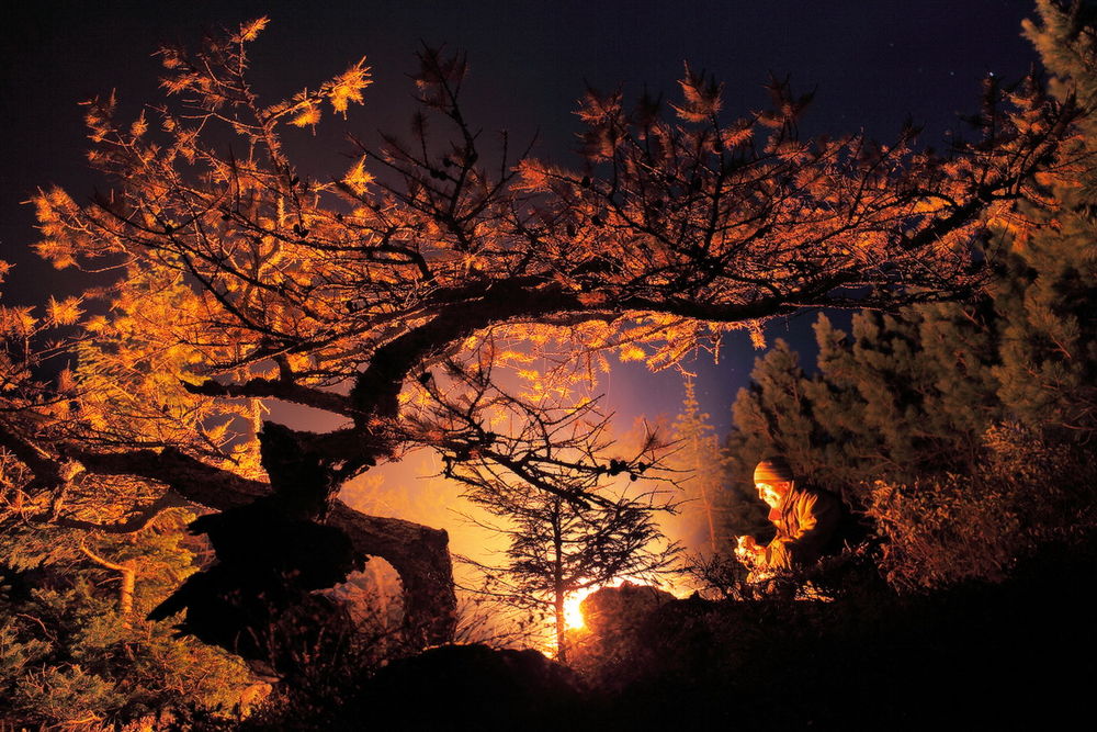 Обои для рабочего стола Мужчина, сидящий у горящего костра невдалеке от дерева, покрытого осенней листвой на фоне ночного, безоблачного неба, автор Бродяга с Севера