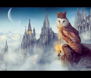 Обои на рабочий стол Сова в короне сидит на обрыве на фоне замка, by Flora-Silve