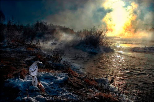 Обои на рабочий стол Ворон, сидящий на камне на берегу озера с клочьями тумана на фоне ослепительных, солнечных лучей на утреннем небосклоне, затянутом тучами, автор Александр Гаусс