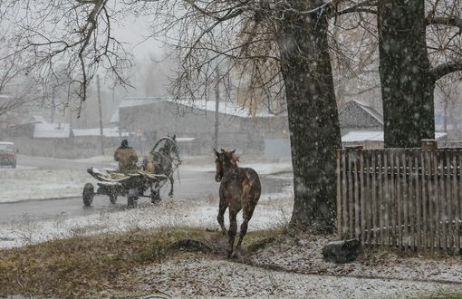 Обои на рабочий стол Мужчина, едущий на телеге, запряженной лошадью по мокрой, деревенской дороге с падающим снегом, невдалеке бежит жеребенок, автор Александр Волобуев