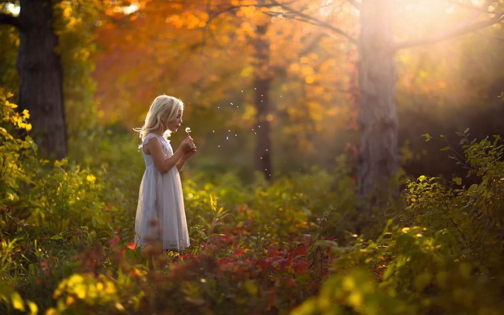 Обои для рабочего стола Белокурая девочка в белом платье стоит в освещенном солнцем осеннем лесу и дует на одуванчик