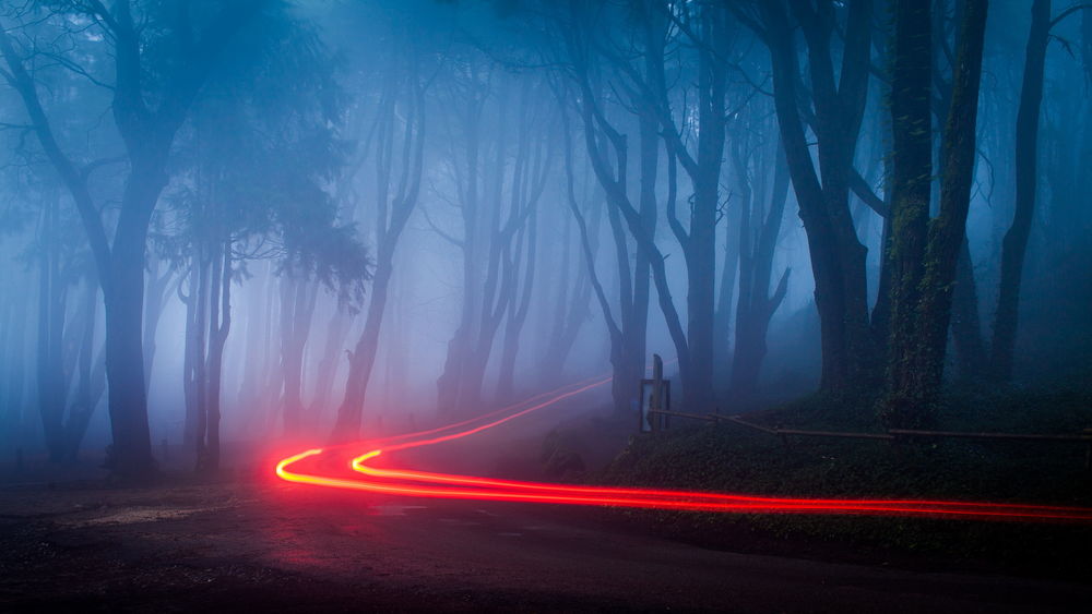 Обои для рабочего стола Две огненные змейки по дороге, делающей поворот и проходящей через лесной массив, покрытый густым туманом