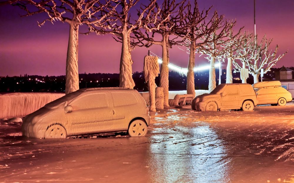 Обои для рабочего стола Заиндевелые легковые автомобили, вросшие в лед на набережной с растущими деревьями, покрытыми толстым слоем льда на фоне ночного небосклона