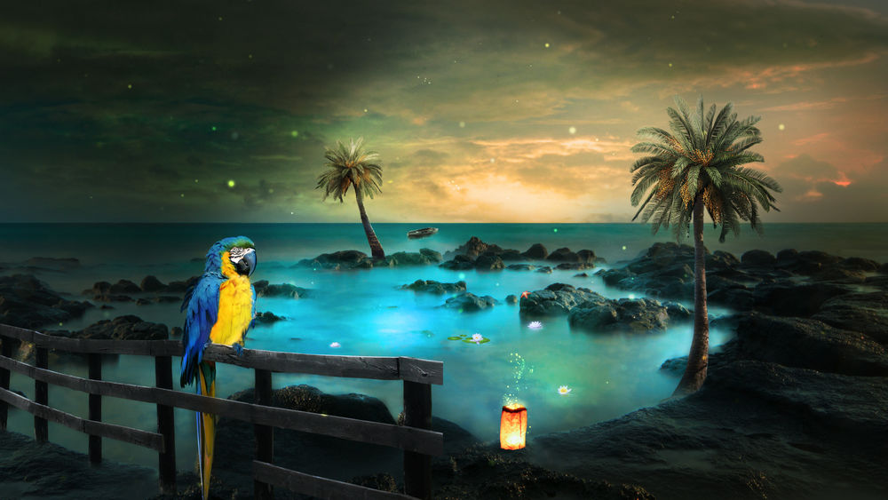 Обои для рабочего стола Попугай ара, сидящий на деревянной загородке на берегу морского залива с расположенным на земле горящем фонарем, пальмами на берегу, лодки на море на фоне вечернего, пасмурного неба