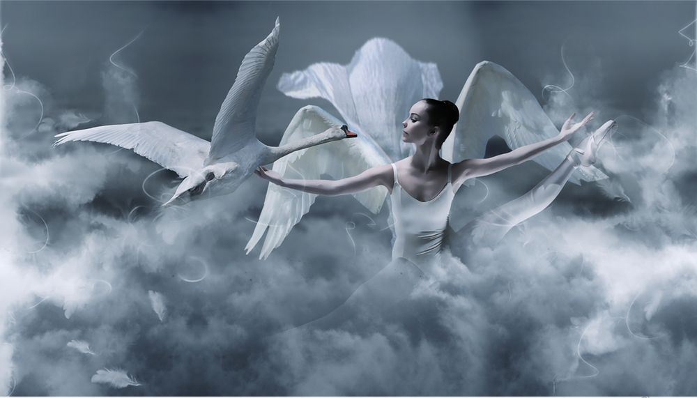 Обои для рабочего стола Темноволосая девушка-балерина с птичьими крыльями за спиной, парит среди серых облаков, в окружении белого лебедя и птичьих перьев, автор Lhianne