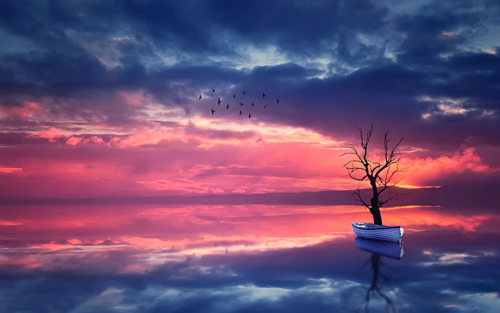Обои для рабочего стола Белая лодка, стоящая в воде озера рядом с деревом без листьев на фоне заката на вечернем небосклоне с разноцветными облаками, парящей в воздухе стаей птиц