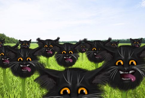 Обои на рабочий стол Головы котят на стеблях цветов, by Luch-Kot