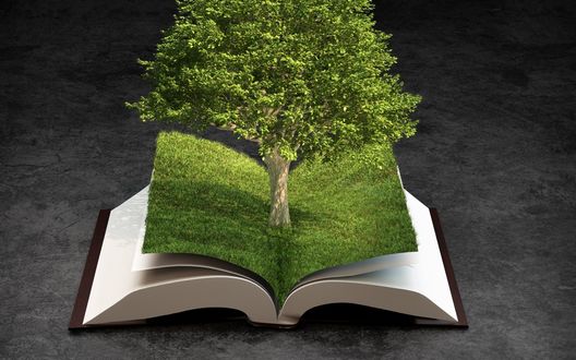 Обои на рабочий стол Дерево, растущее из страниц открытой книги