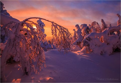Обои на рабочий стол Работа снежная тишина, фотограф Valtteri Mulkahainen