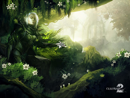 Обои на рабочий стол Guild Wars 2 - Сильвари в цветущем лесу