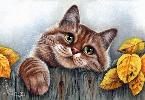 Обои на рабочий стол Котик на заборе, by garmashova irina
