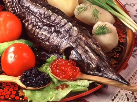 Обои на рабочий стол Красная и черная икра с рыбой и овощами