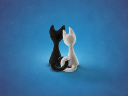 Обои на рабочий стол Черный кот и белая кошка, сидящие спинами с переплетенными хвостиками
