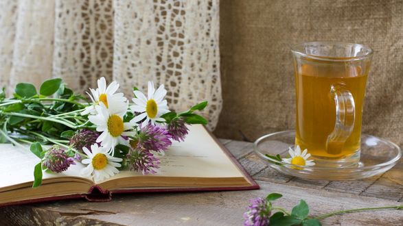 Обои на рабочий стол Букетик из ромашек и клевера лежит на раскрытой книге, рядом стоит кружка с чаем