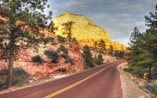 Обои на рабочий стол Асфальтная дорога, среди гор и деревьев в Zion National Park