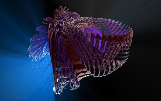 Обои на рабочий стол 3D изображение скелета головы динозавра