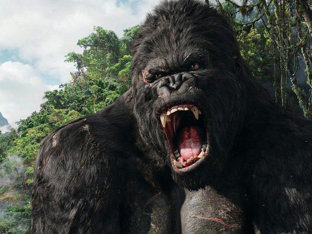 Обои для рабочего стола Одноименная гигантская обезьяна горилла из кинофильма Кинг - Конг открыла огромную зубастую пасть