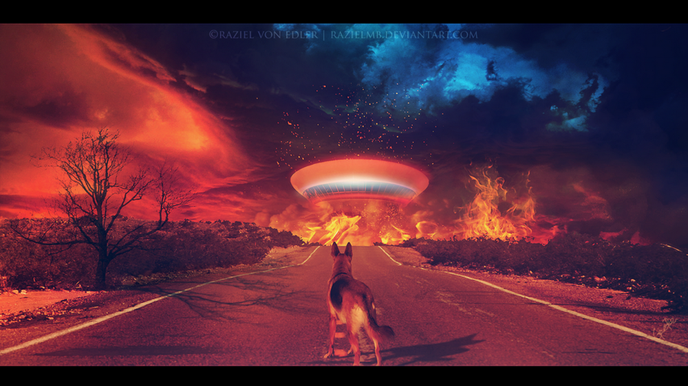 Обои для рабочего стола Овчарка, стоящая на асфальтированной дороге наблюдает за посадкой космического объекта, охваченного пламенем, автор Raziel MB